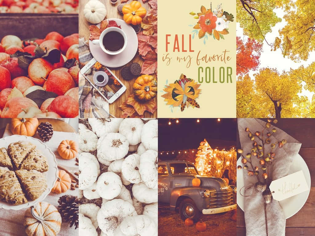 Fall Collage Desktop, autumn-themed scenes, pumpkins, SD Desktop Wallpaper