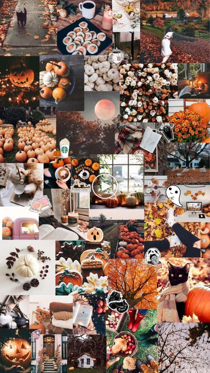fall collage desktop, autumn, pumpkins, HD Phone Wallpaper