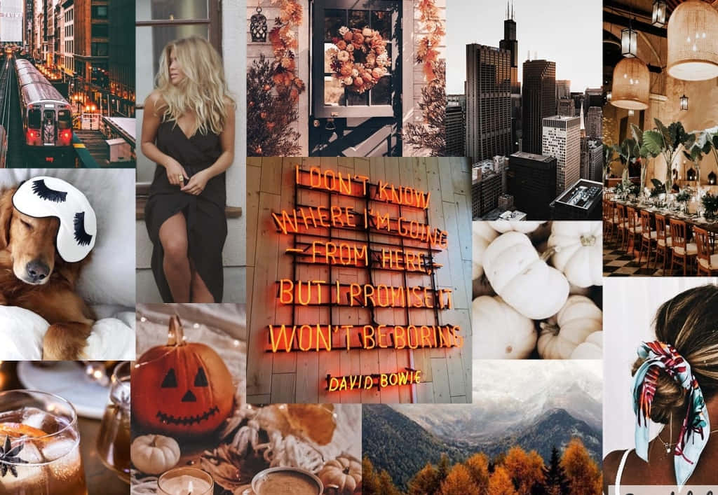 Fall Collage Desktop, autumn, cityscapes, SD Desktop Wallpaper