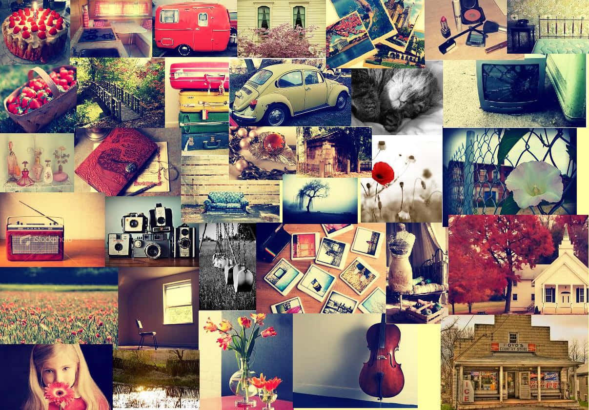 red camper van, retro cameras, field of poppies, SD Desktop Wallpaper