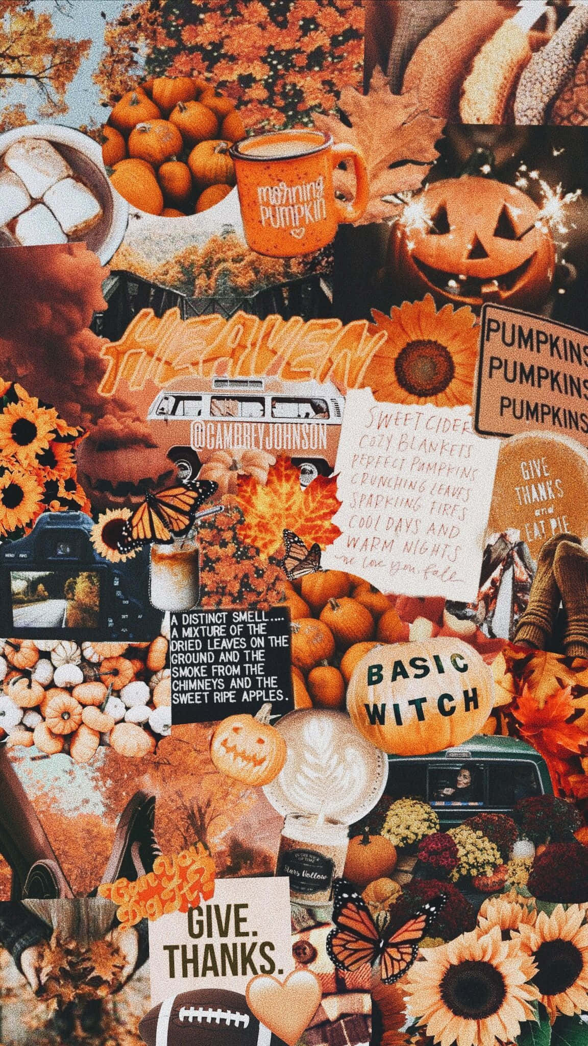 Fall Collage, orange theme, pumpkins, Full HD Phone Wallpaper