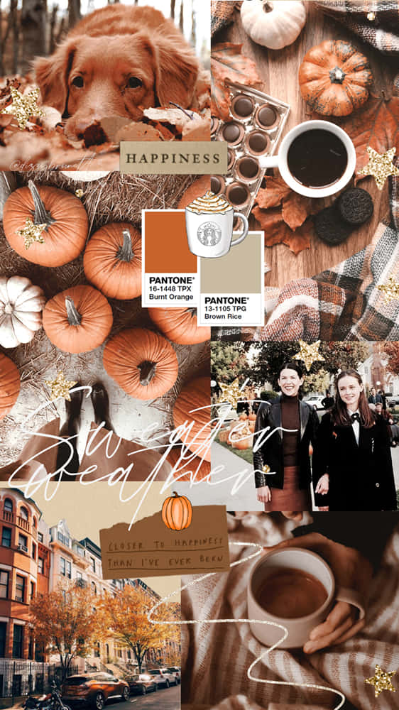 Pantone color swatches, pumpkins, coffee, SD Phone Wallpaper