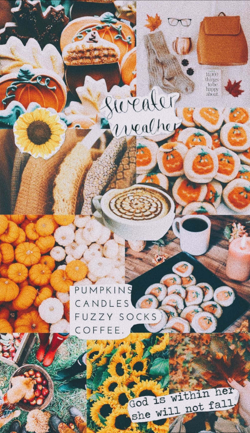 Fall Collage, sunflowers, pumpkins, HD Phone Wallpaper