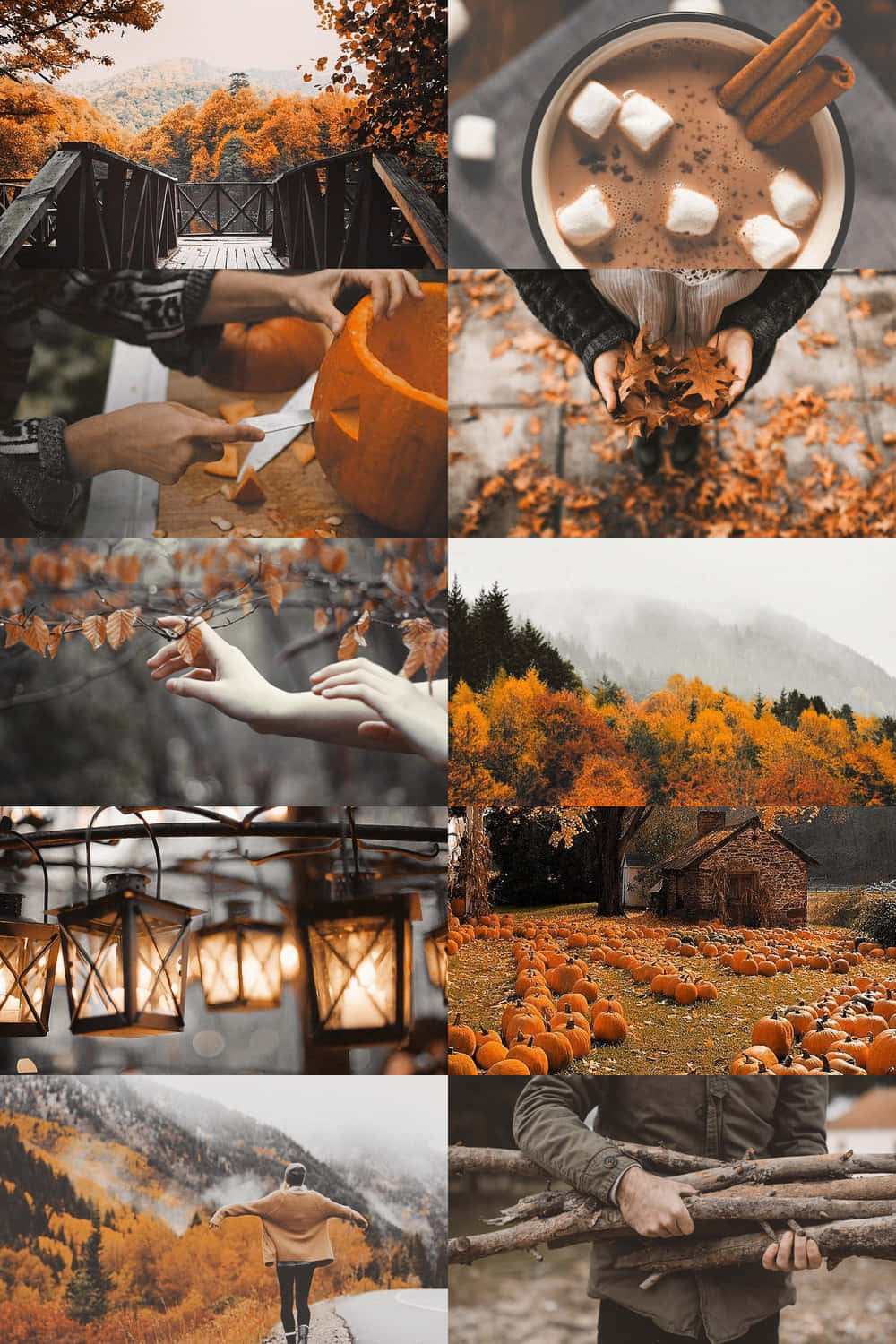 Fall Collage, orange aesthetic, pumpkin carving hands, HD Phone Wallpaper
