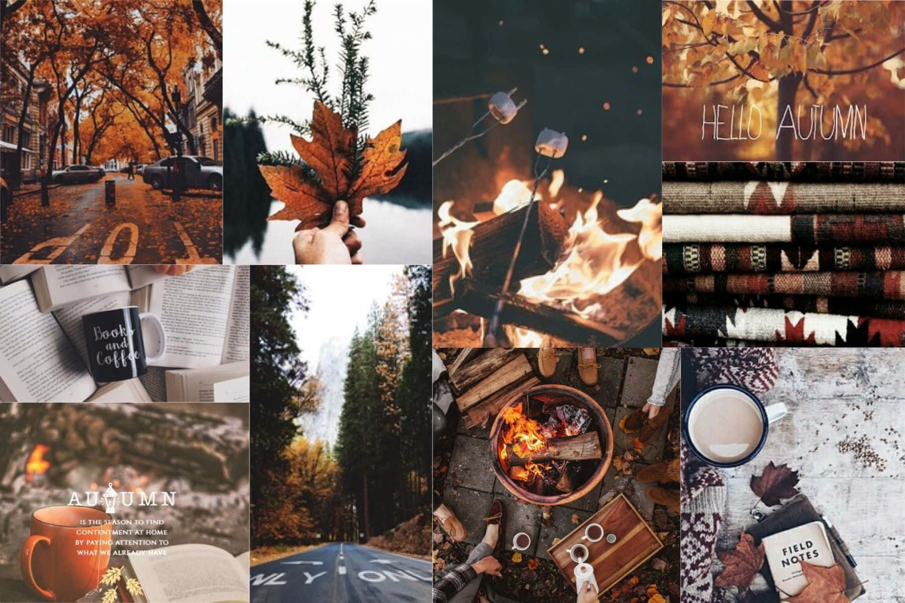 Fall Collage, Orange Maple Leaves, Autumn, HD Desktop Wallpaper