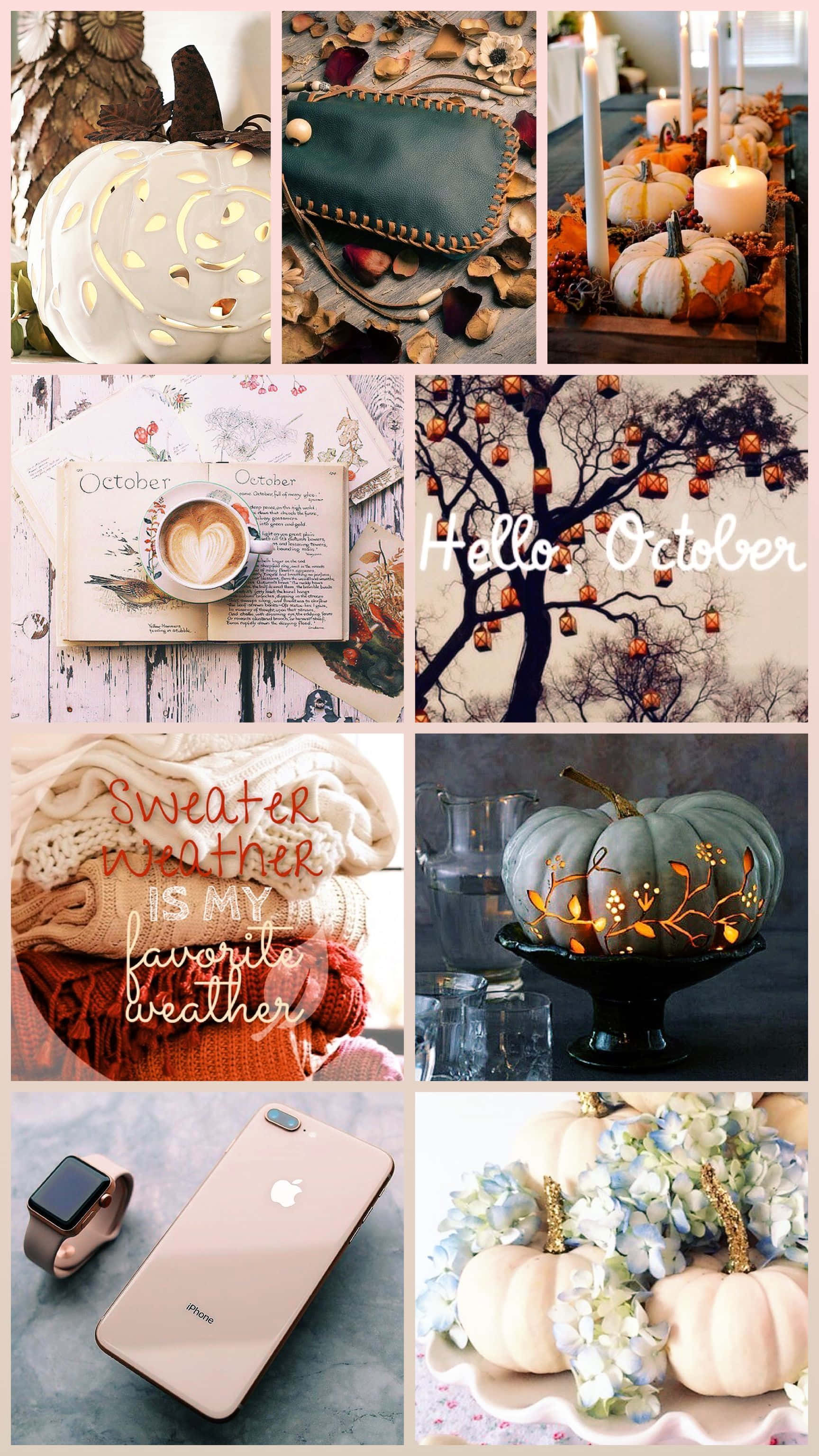 Fall Collage, white minimalist theme, pumpkins, 2K Phone Wallpaper