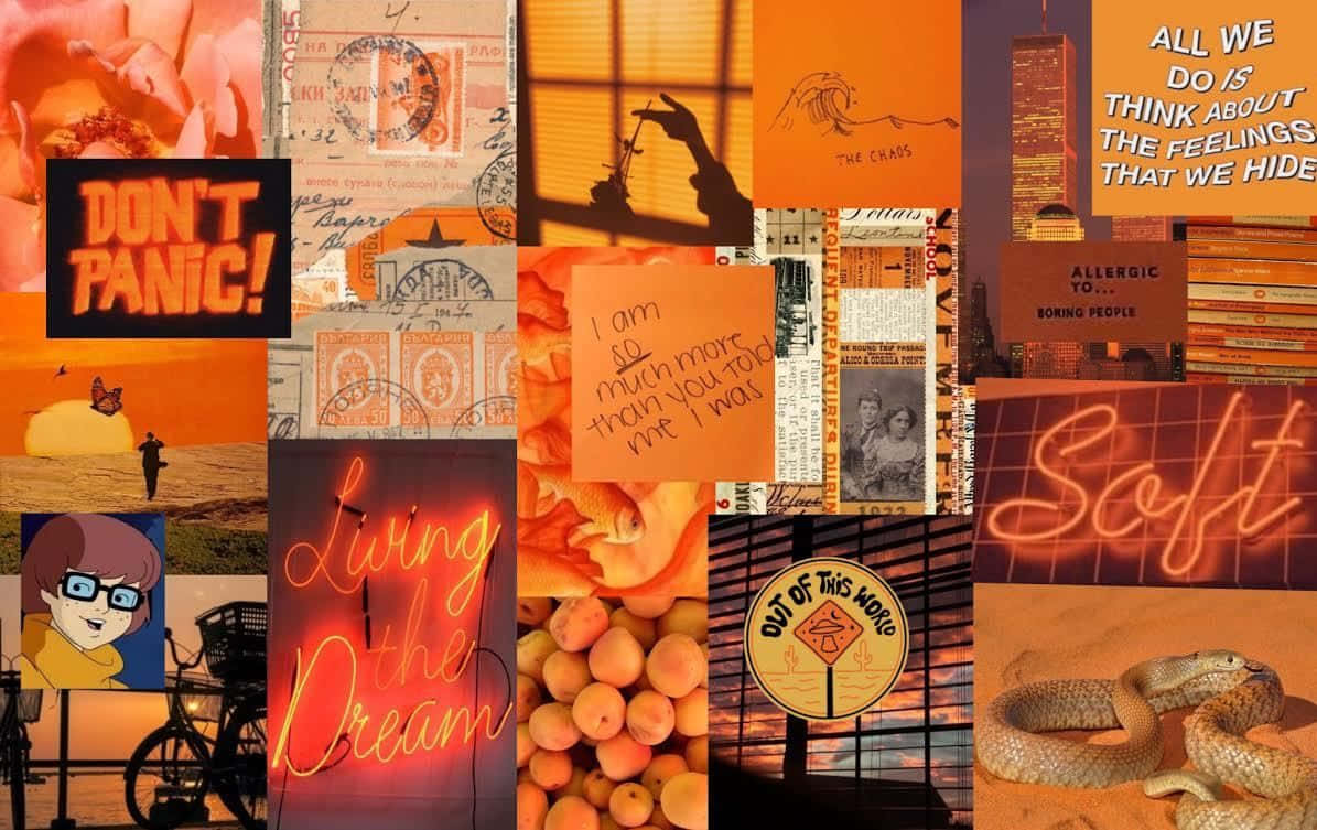 autumn, orange-toned, neon signs, SD Desktop Wallpaper