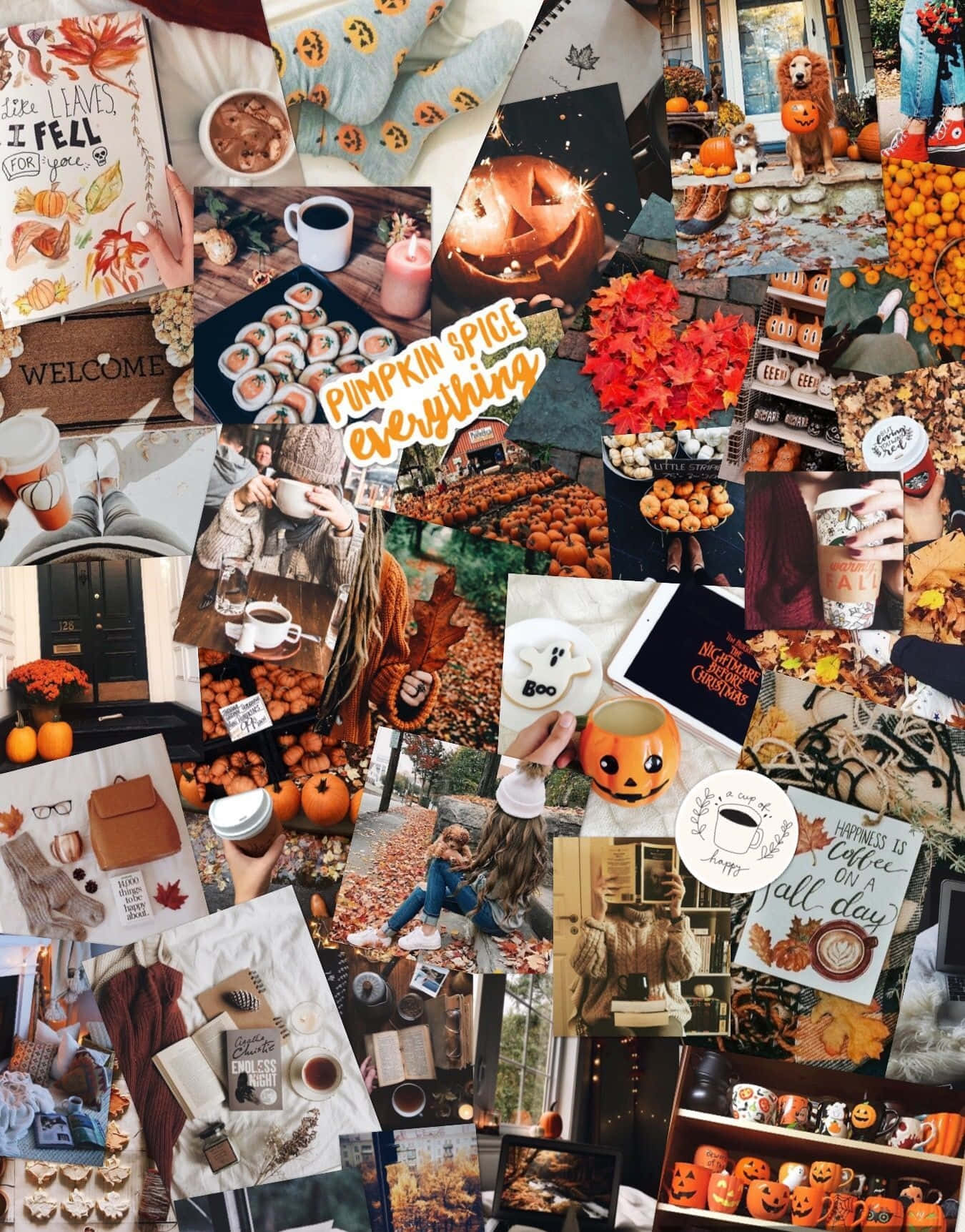 Fall Collage, pumpkins, cozy drinks, HD Phone Wallpaper