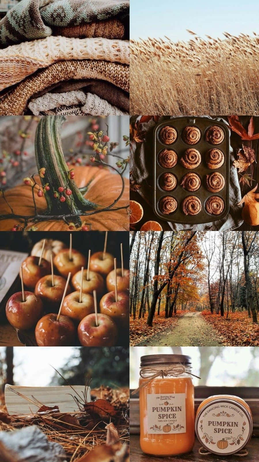 candied apples, cinnamon rolls, pumpkin spice candles, HD Phone Wallpaper