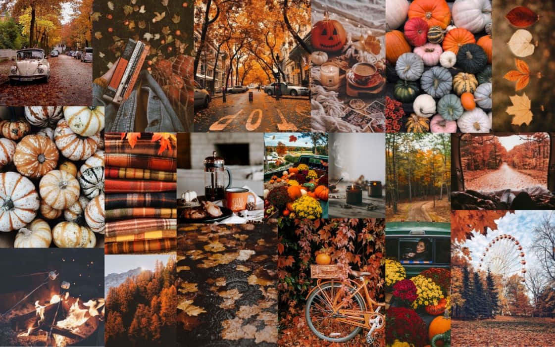 Fall Collage, pumpkins, cozy blankets, SD Desktop Wallpaper