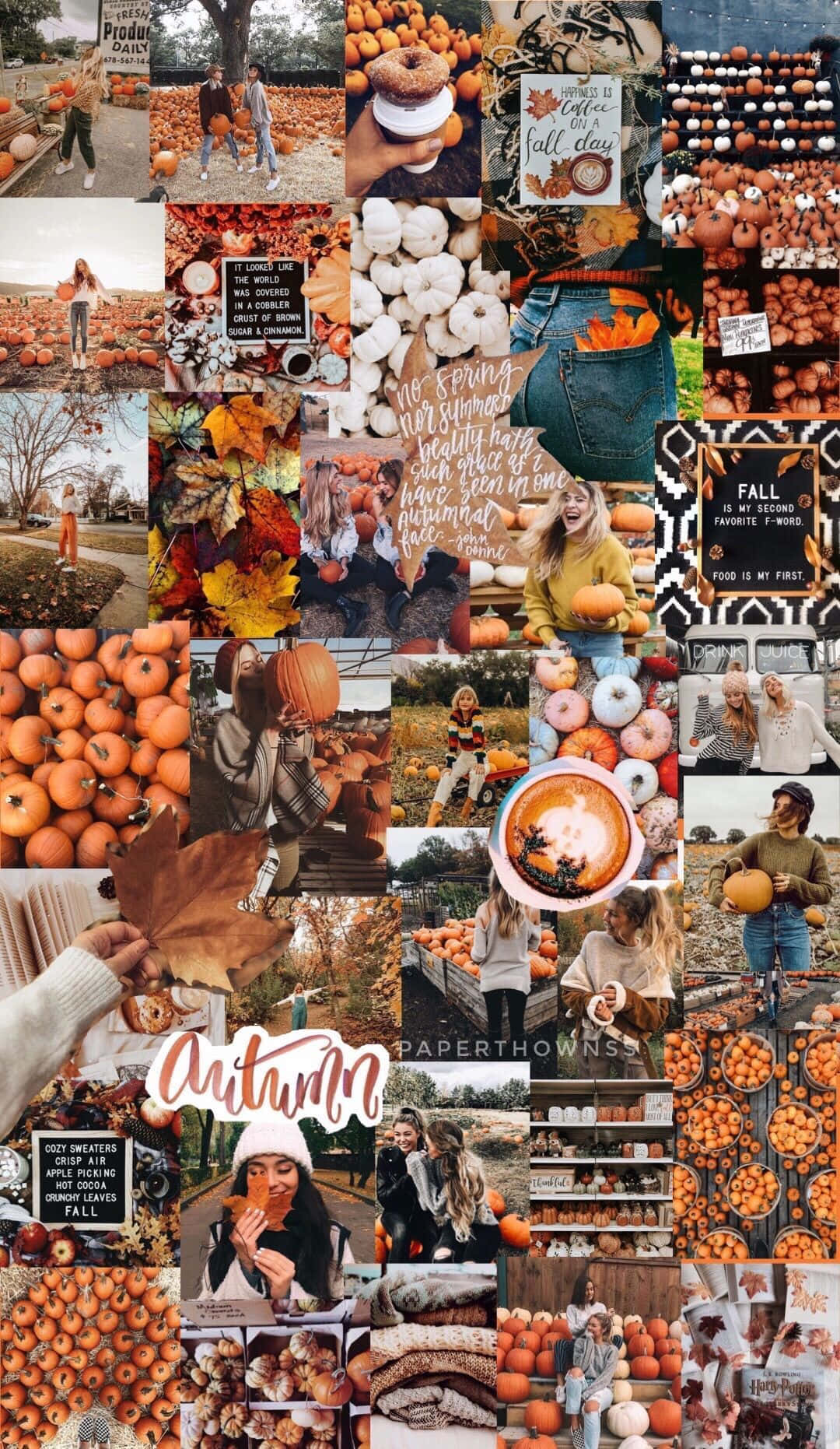 Fall Collage, orange and white pumpkins, autumn, HD Phone Wallpaper