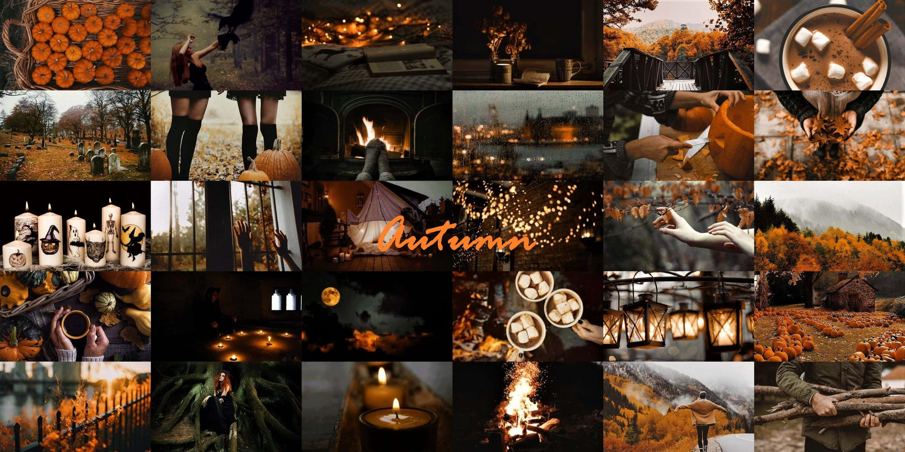 Fall Collage, Halloween Season, pumpkins, 2K Desktop Wallpaper