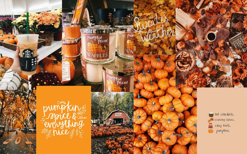 autumn, pumpkins, candles, SD Desktop Wallpaper