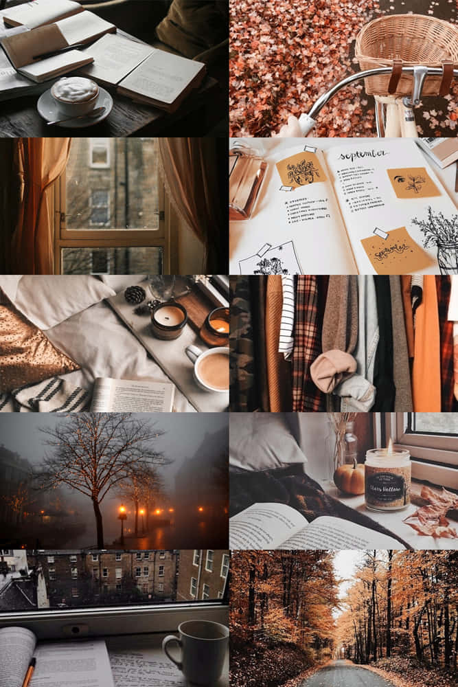 Fall Collage, autumn, books, SD Phone Wallpaper