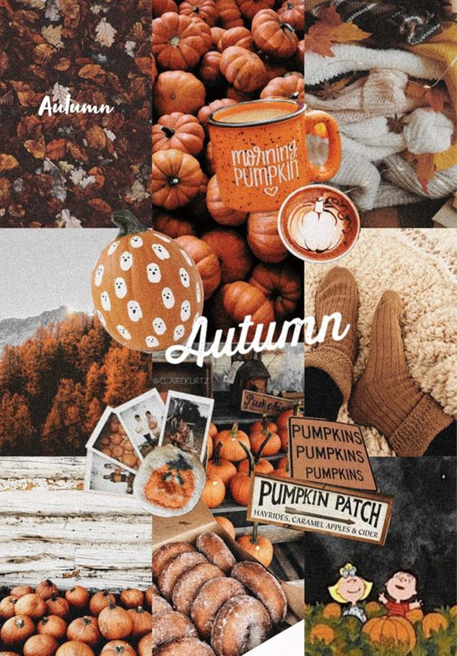 Fall Collage, pumpkins, cinnamon coffee, Full HD Phone Wallpaper