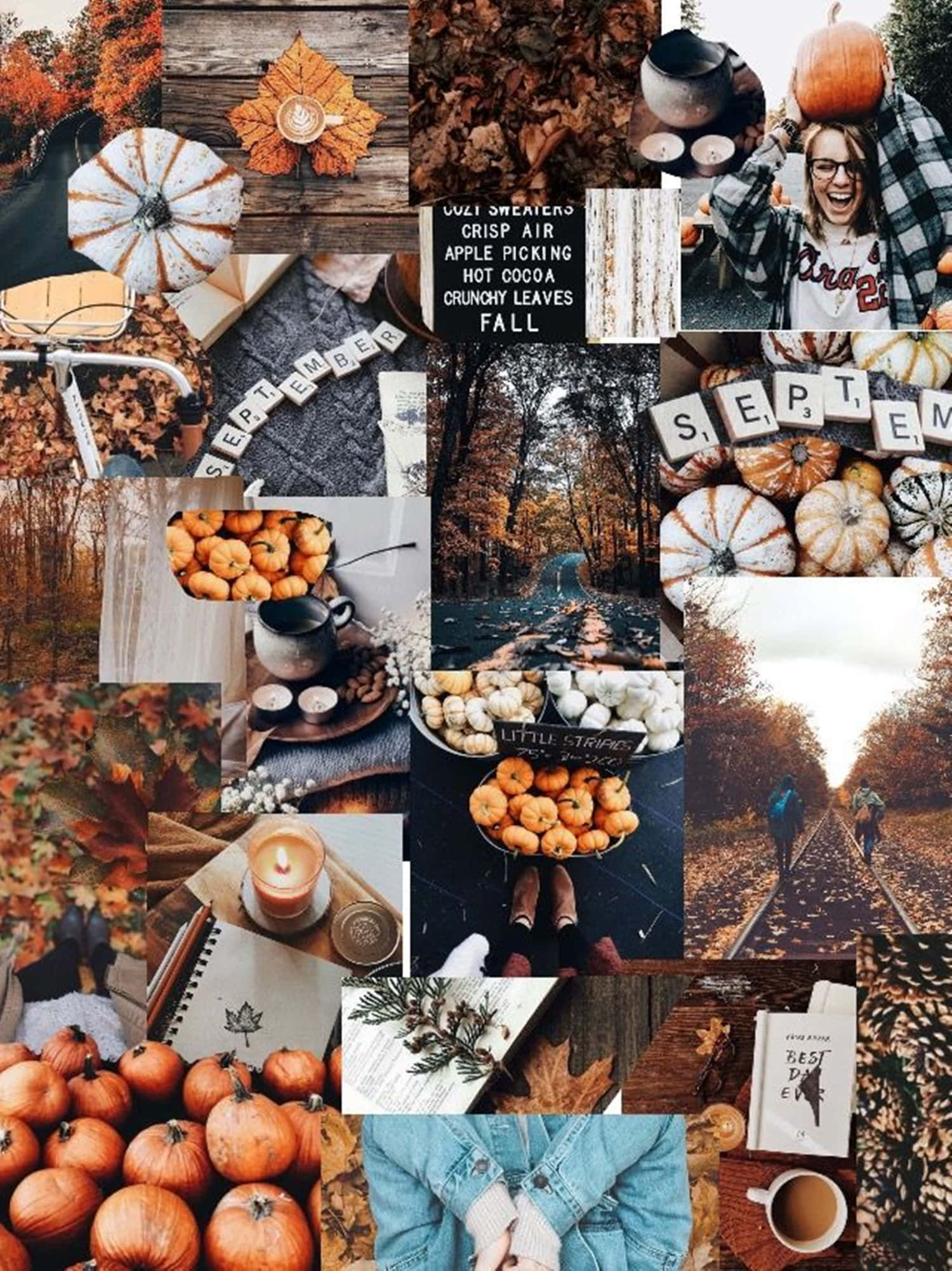 autumn, pumpkins, leaves, Full HD Phone Wallpaper