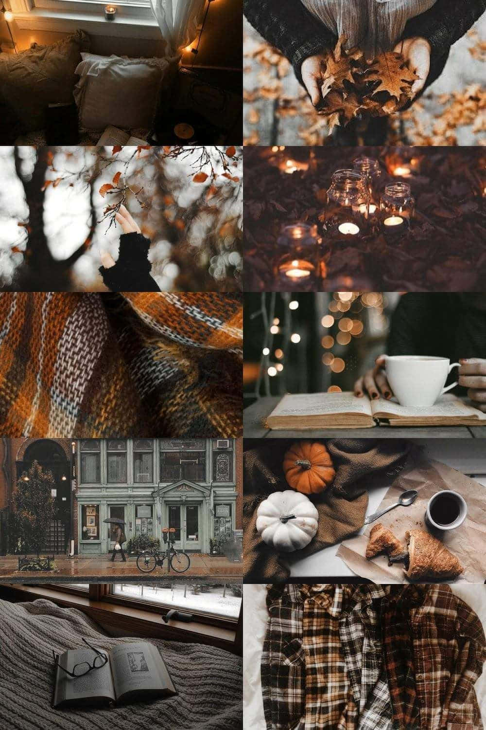 Fall Collage, autumn, warm lights, HD Phone Wallpaper