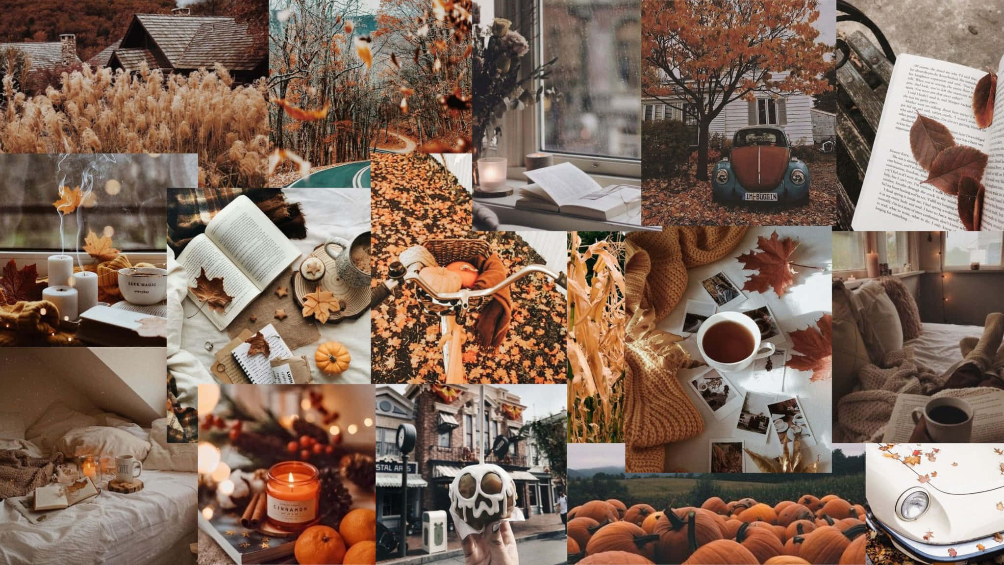 autumn collage, pumpkins, books, Full HD Desktop Wallpaper