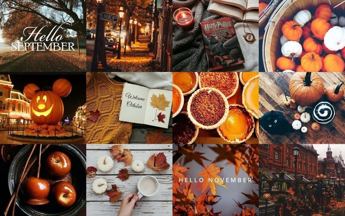 autumn, pumpkins, maple leaves, SD Desktop Wallpaper
