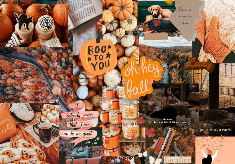 autumn, pumpkins, candles, SD Desktop Wallpaper