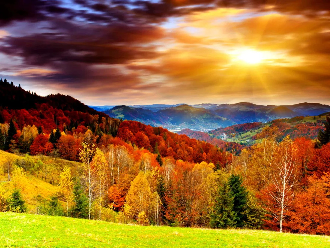 Fall Colors