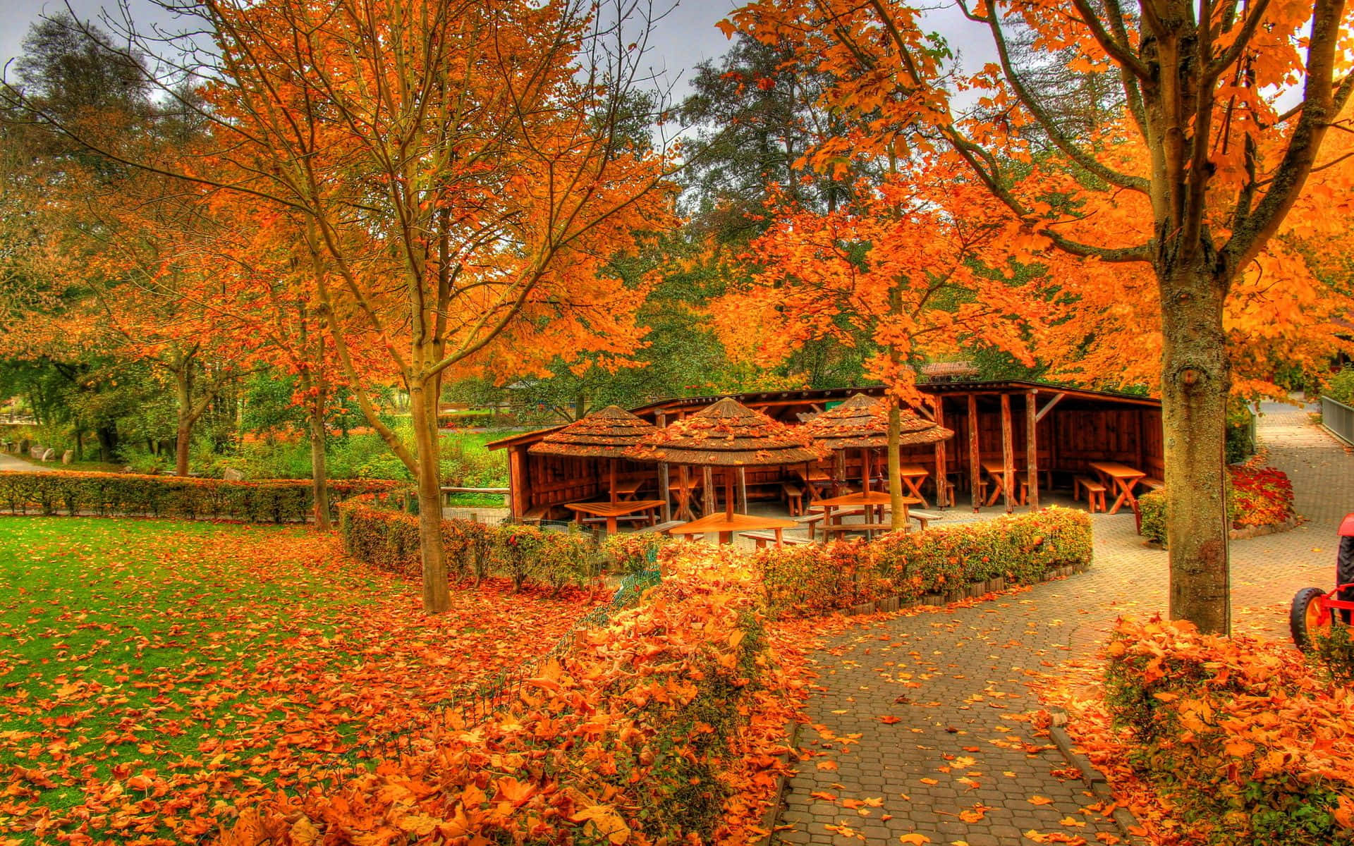 Fall colors, autumn park, fiery orange leaves, Full HD Desktop Wallpaper