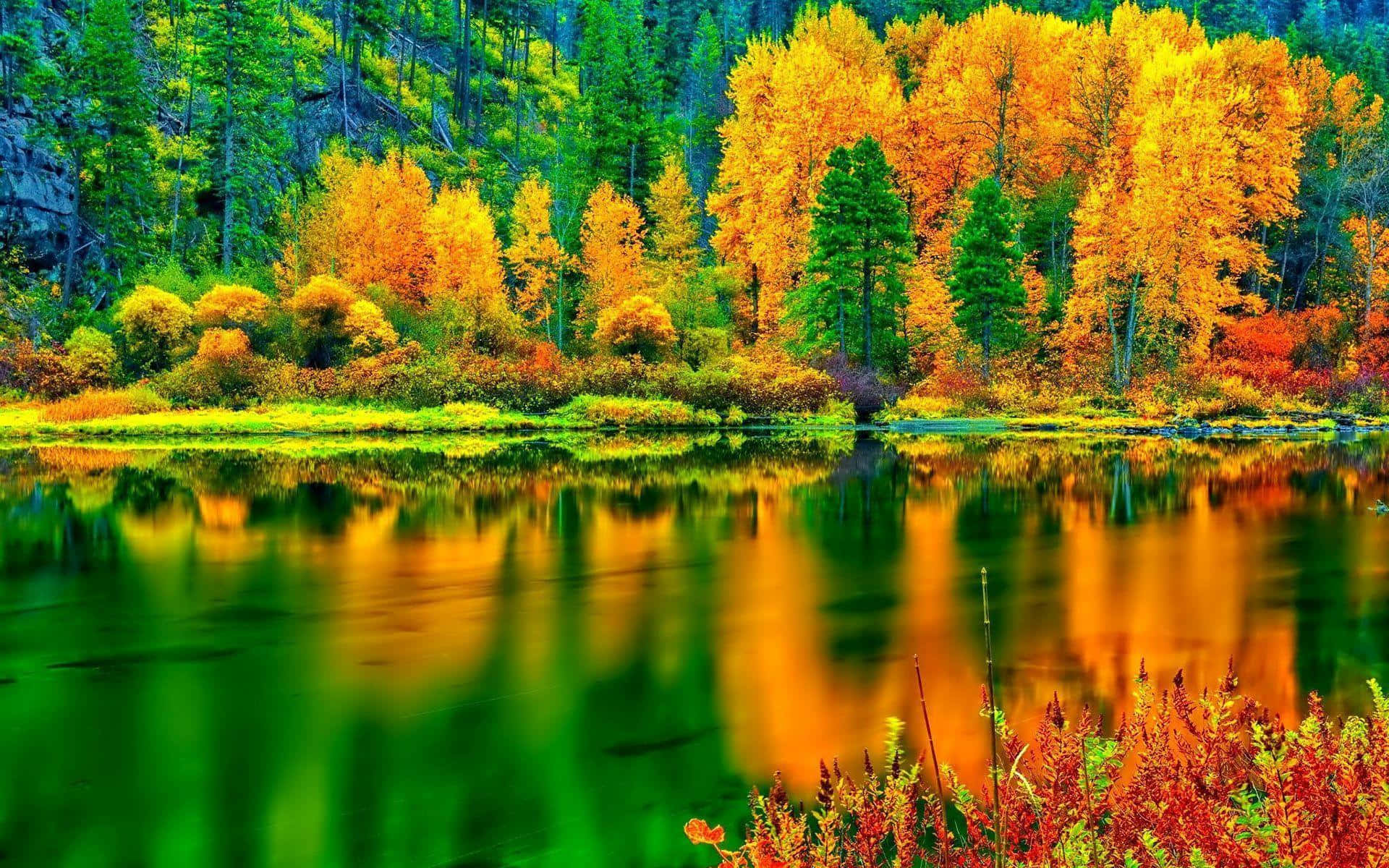 Fall Colors, autumn trees, golden orange leaves, Full HD Desktop Wallpaper