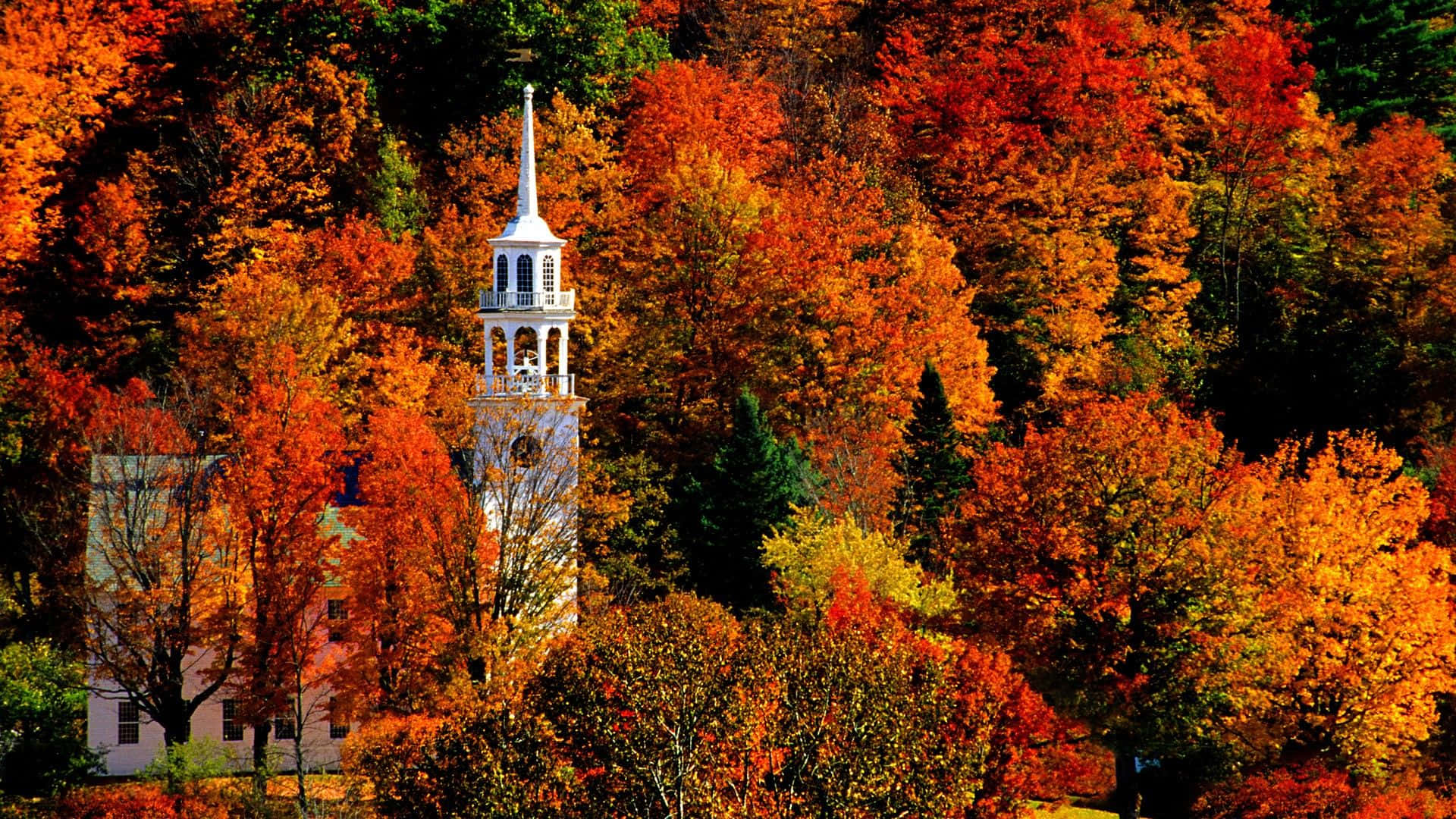 white church steeple, dense forest, fiery autumn foliage, Full HD Desktop Wallpaper