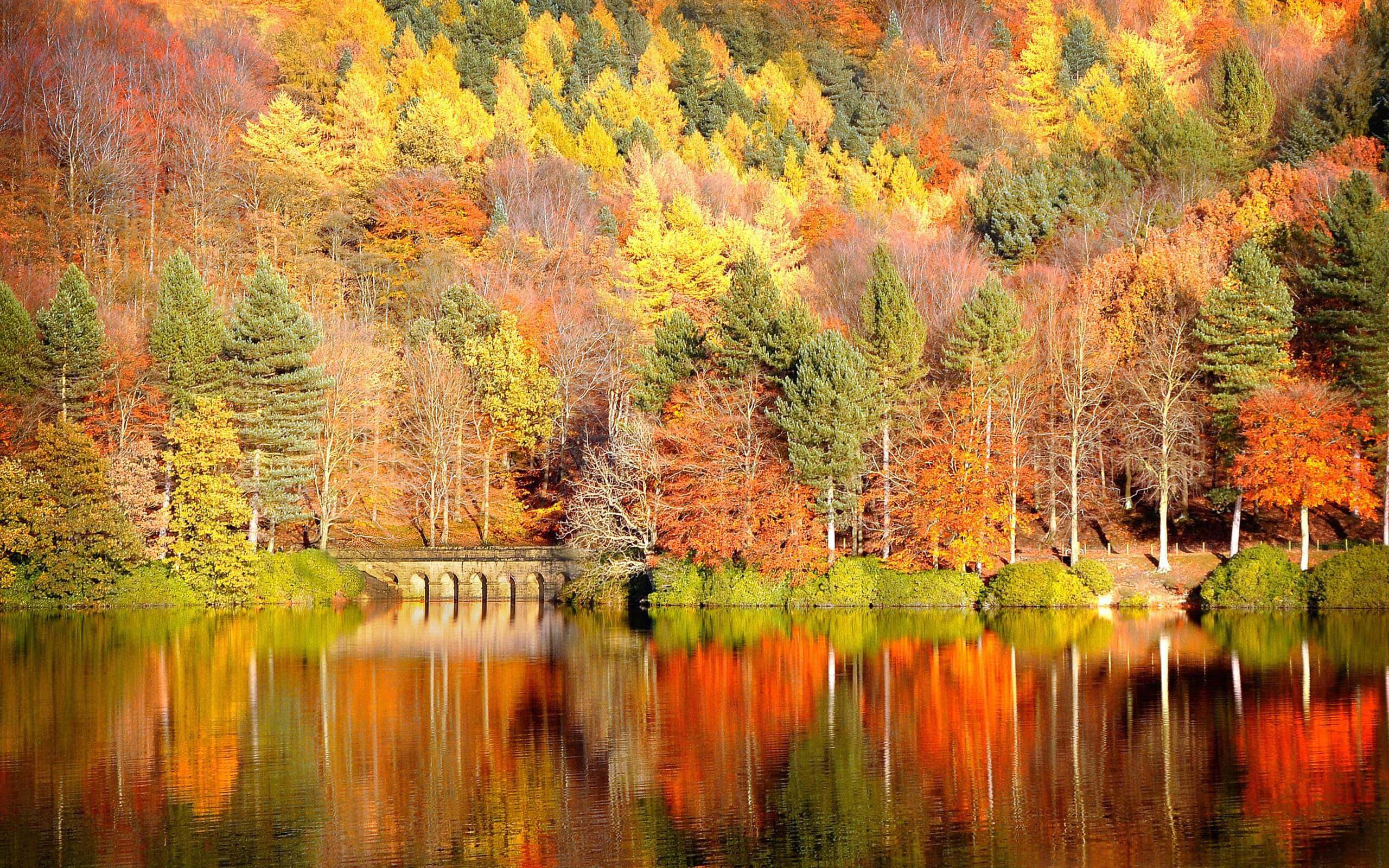 autumn lake, hillside, fiery red orange yellow and green foliage, 2K Desktop Wallpaper
