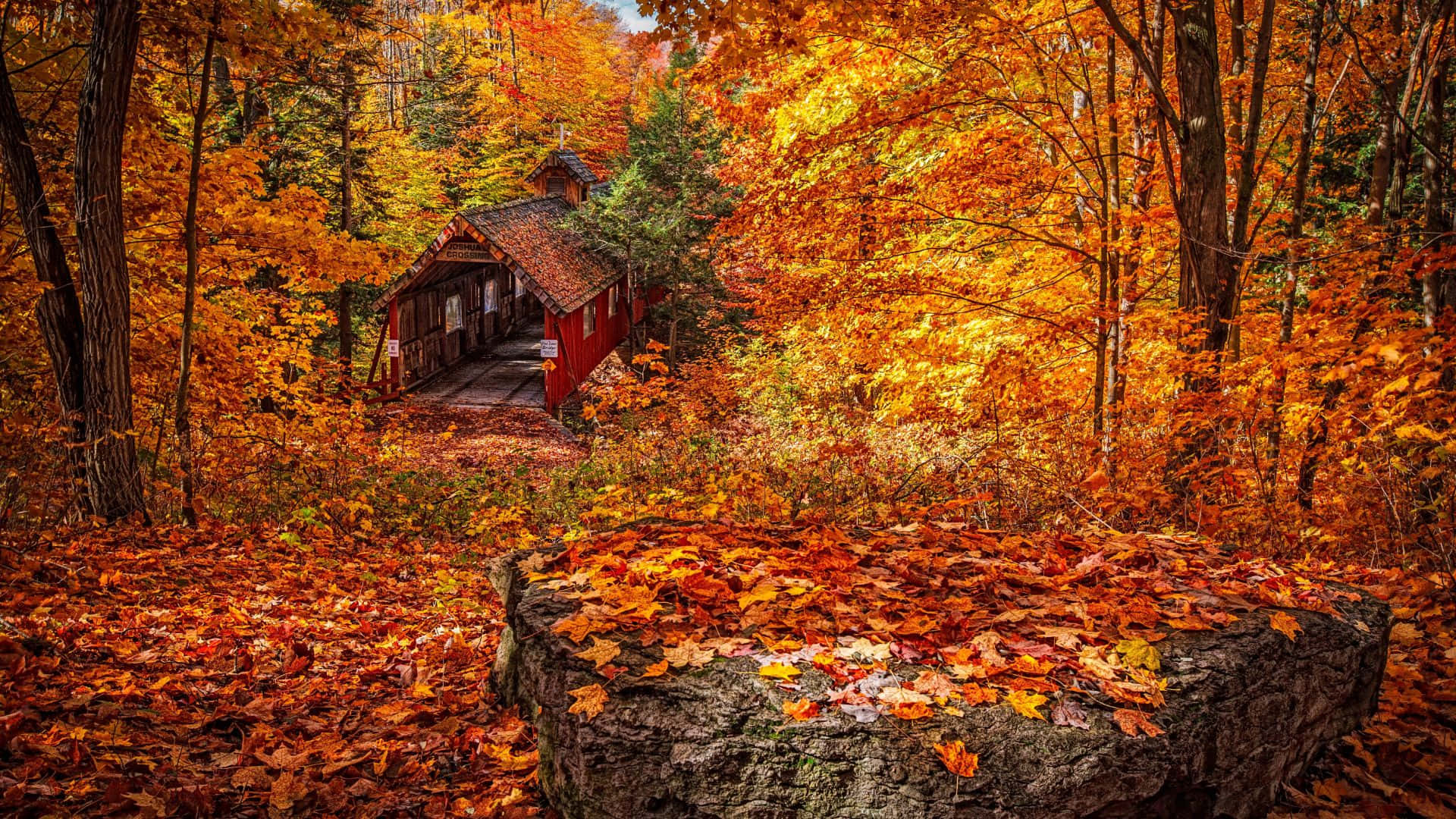 1920x1080, HD, red wooden covered bridge, Full HD Desktop Wallpaper