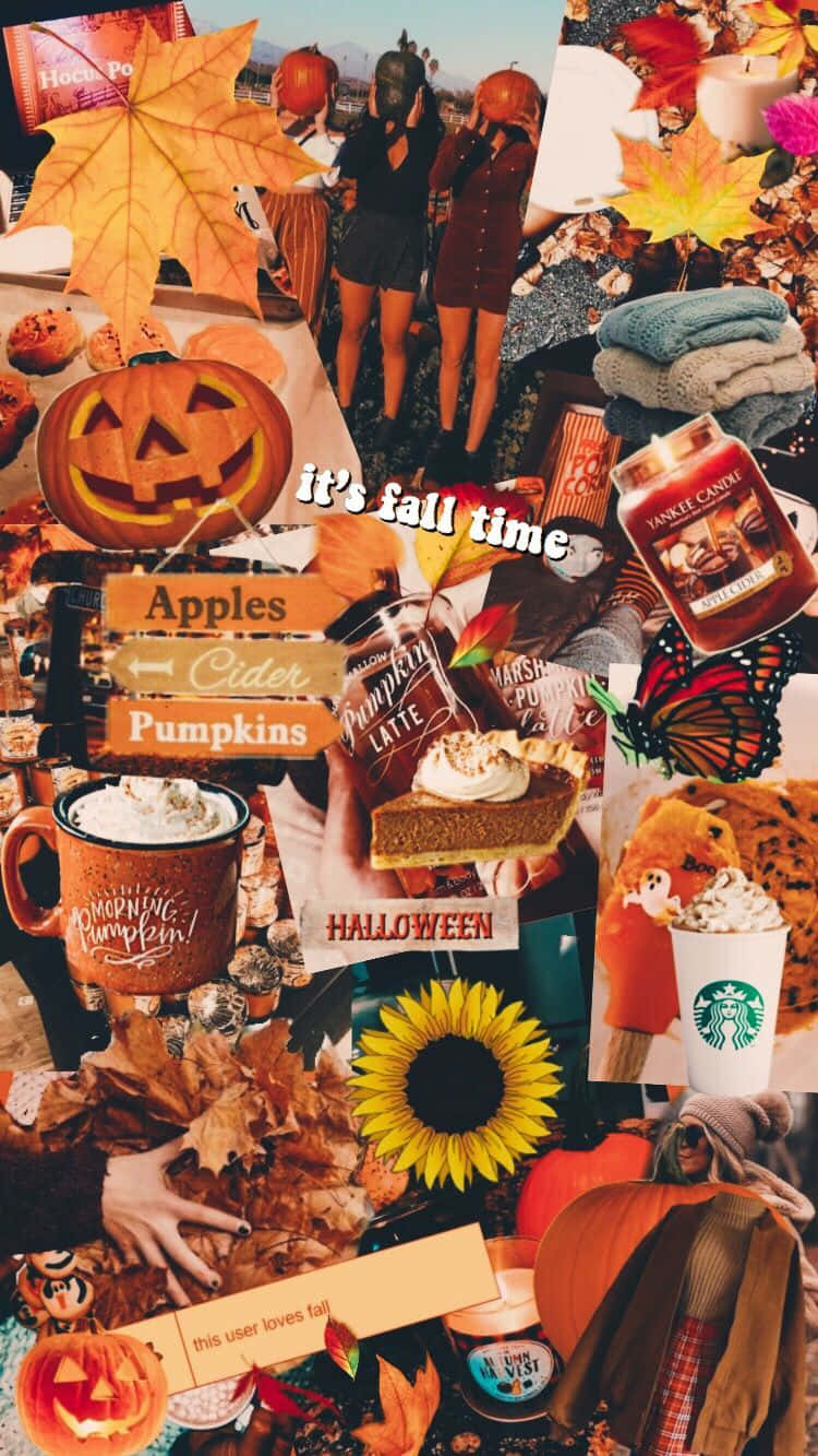 Fall Colors, pumpkins, maple leaves, HD Phone Wallpaper