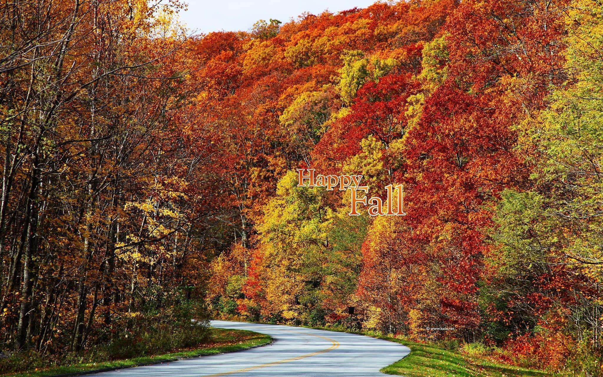 fall colors, autumn forest, fiery red orange, Full HD Desktop Wallpaper