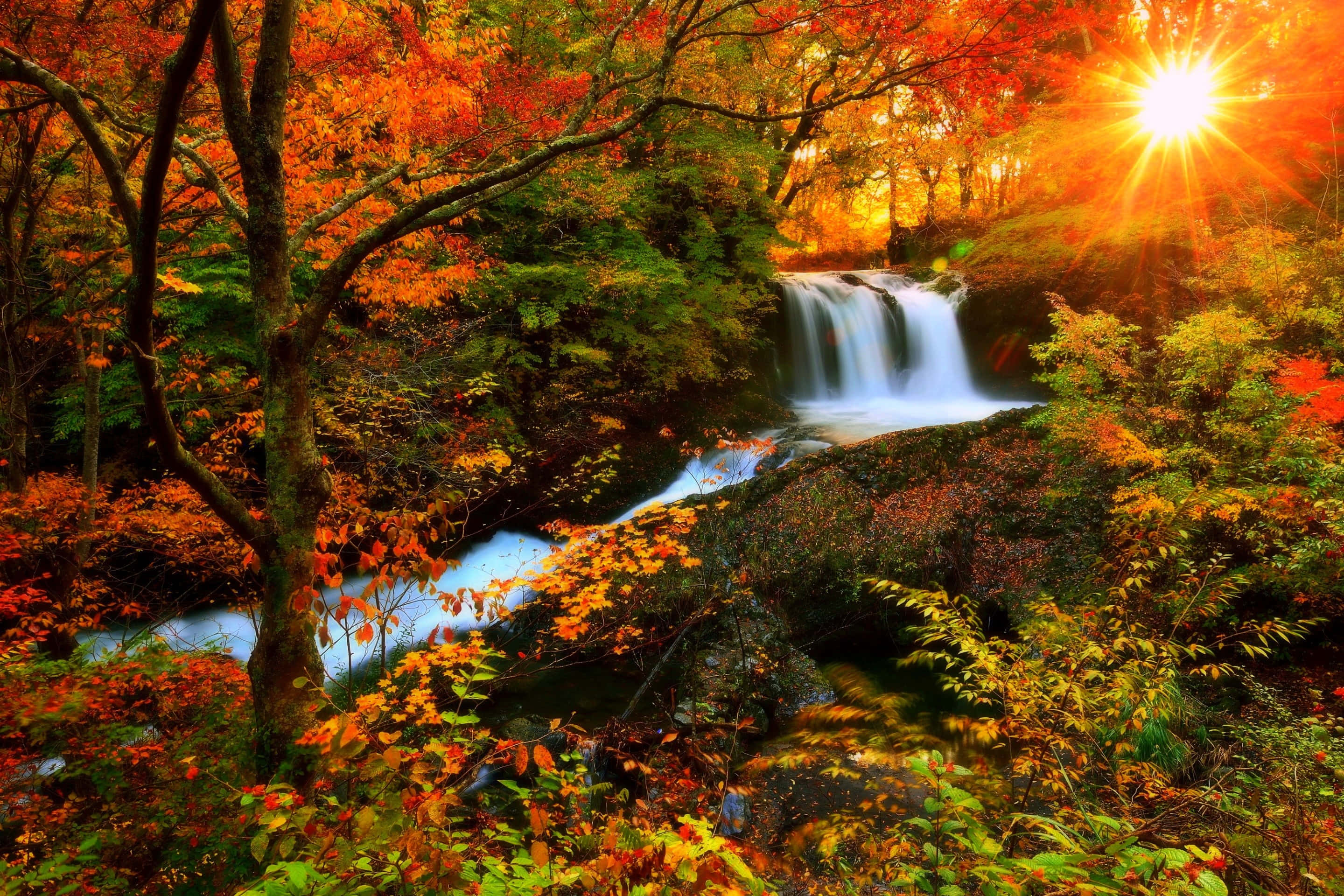 Fall Colors, autumn forest, waterfall, 2K Desktop Wallpaper