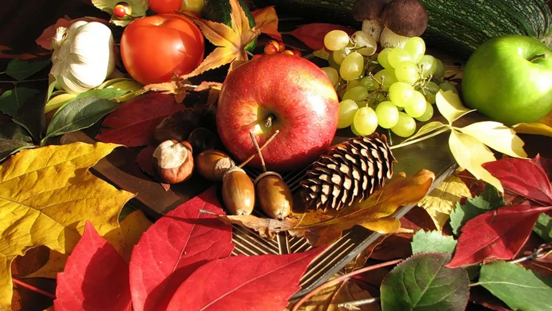 Fall Cornucopia