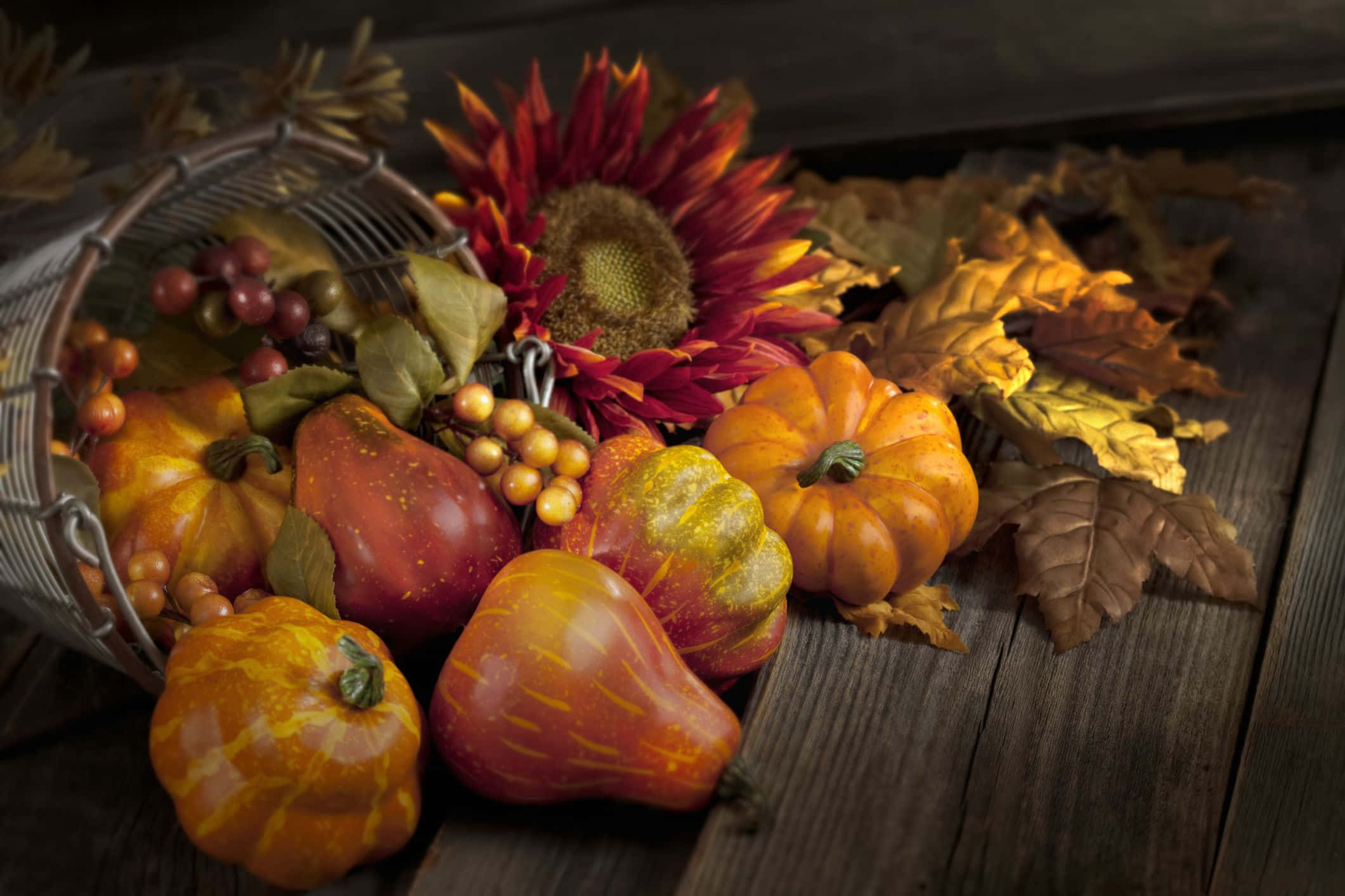 Fall Cornucopia, autumn still life, pumpkins, Full HD Desktop Wallpaper