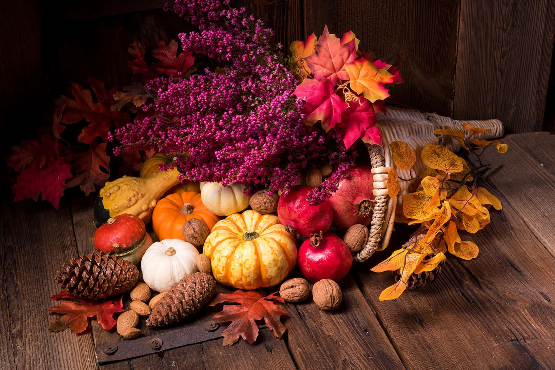 Fall Cornucopia, pumpkins, pomegranates, HD Desktop Wallpaper