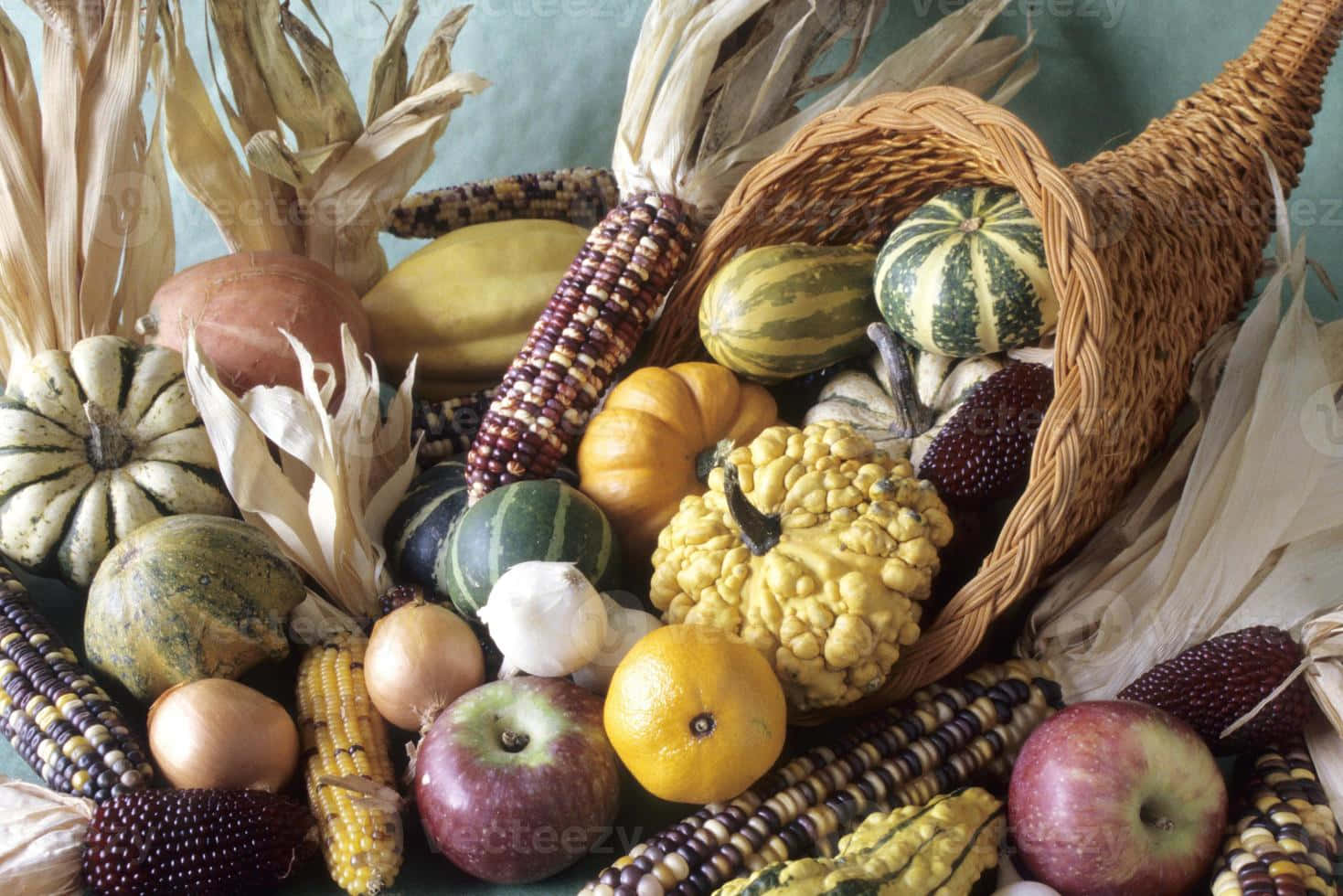 Fall Cornucopia, cornucopia, colorful gourds, HD Desktop Wallpaper
