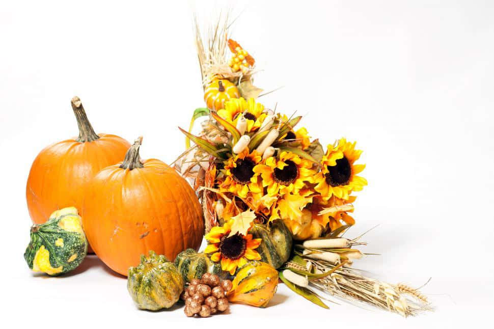 Fall Cornucopia, pumpkins, sunflowers, SD Desktop Wallpaper