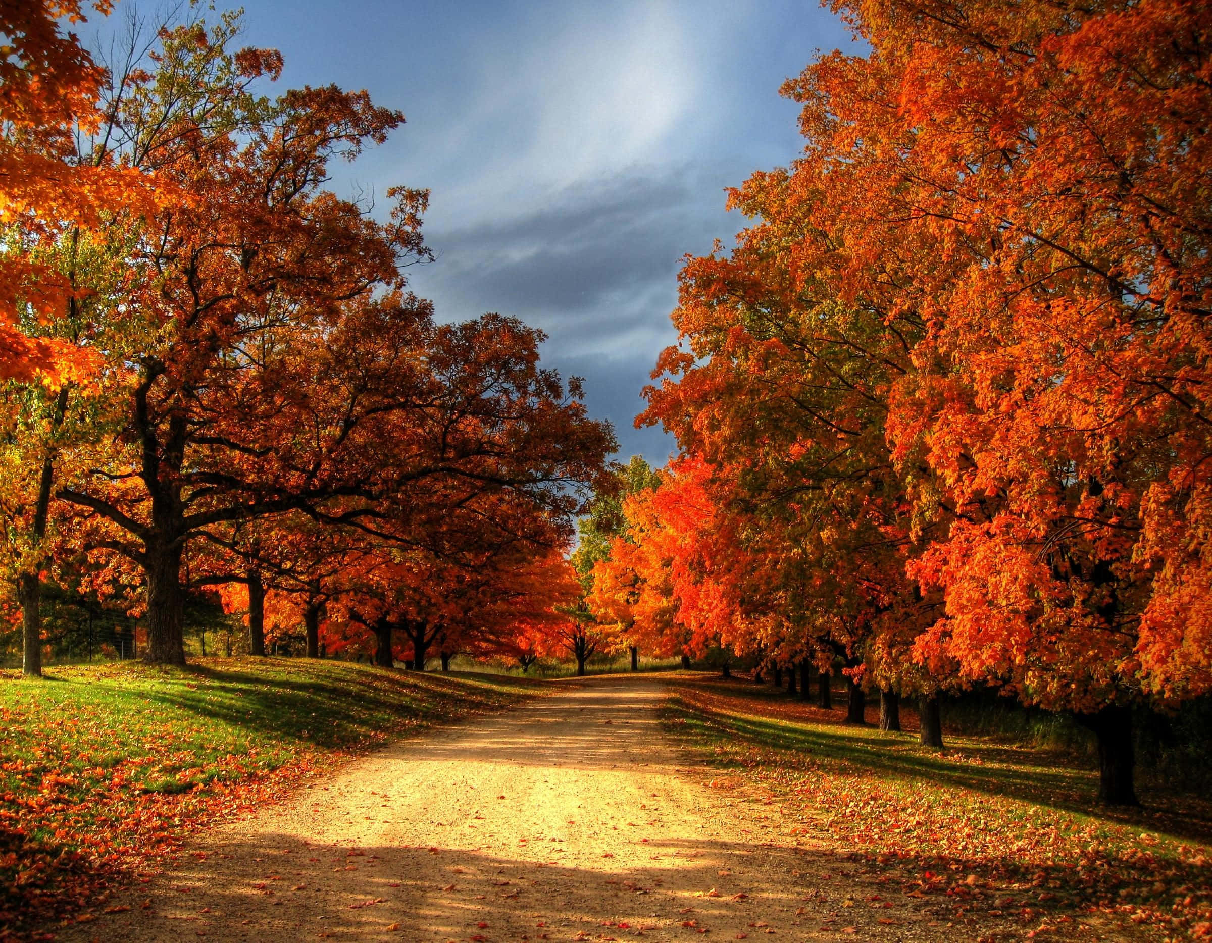 Fall Country, autumn sun, fiery orange trees, Full HD Desktop Wallpaper