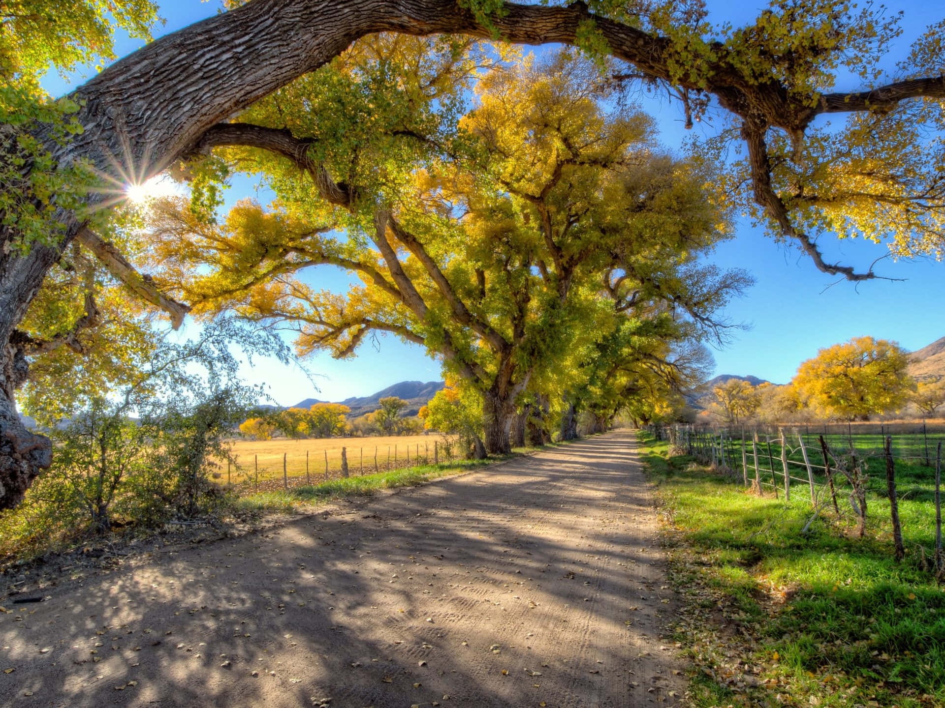 Fall Country, 1920 x 1440, sunlit dirt road, Full HD Desktop Wallpaper