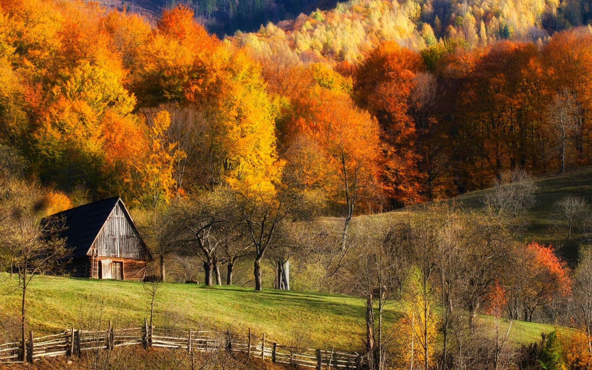 Fall Country, rustic wooden barn, grassy hill, Full HD Desktop Wallpaper