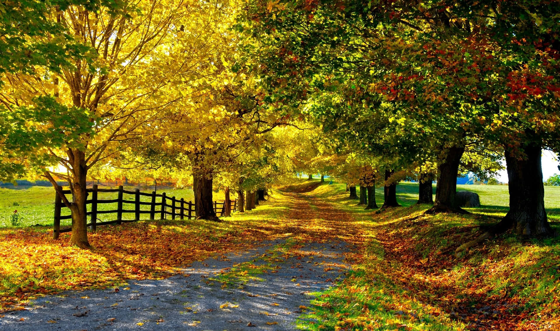 Fall Country, gravel path, autumn forest, Full HD Desktop Wallpaper