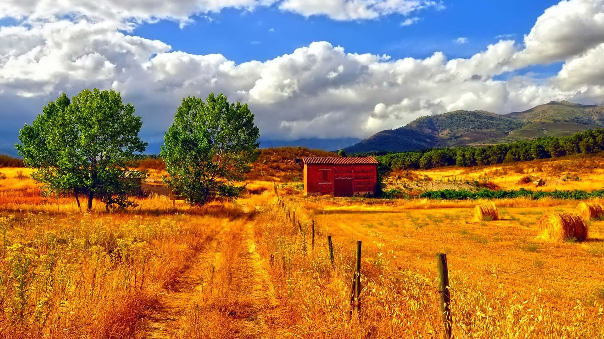 Fall Country, red barn, golden fields, Full HD Desktop Wallpaper