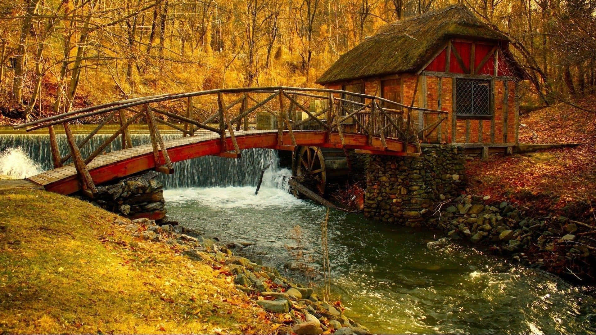 Fall Country, rustic wooden bridge, rushing stream, Full HD Desktop Wallpaper