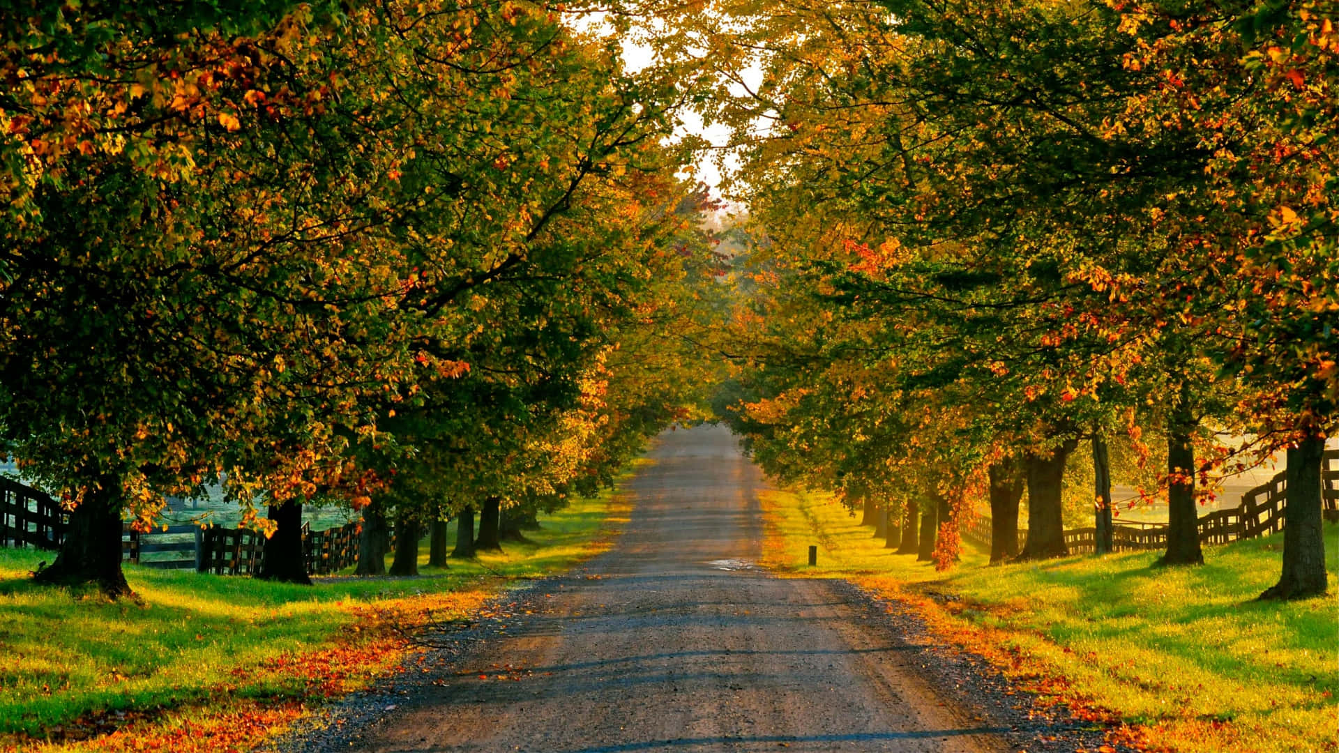 Fall Country, autumn road, vibrant orange and green foliage, Full HD Desktop Wallpaper