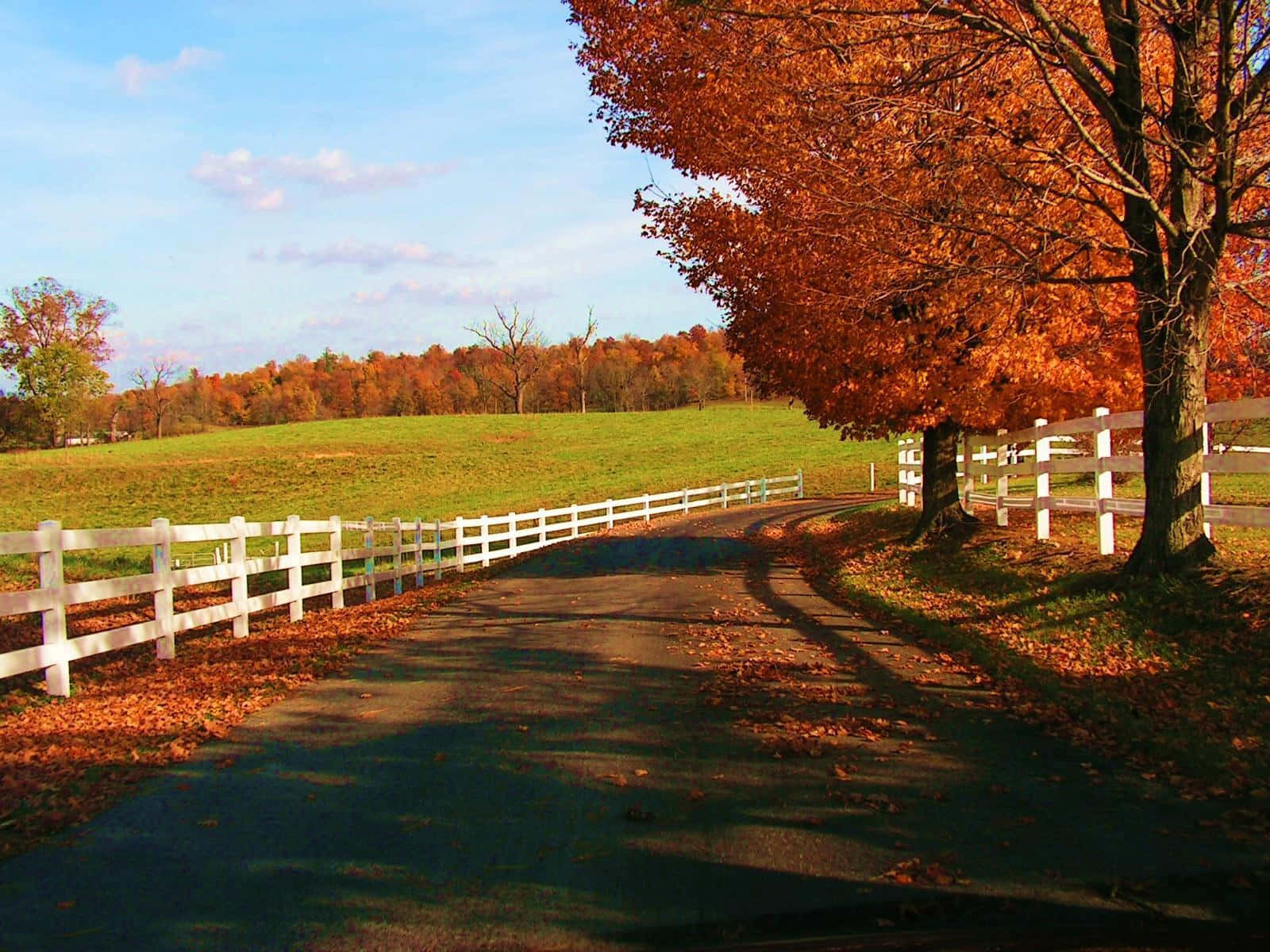 Fall Country, winding road, vibrant autumn landscape, HD Desktop Wallpaper
