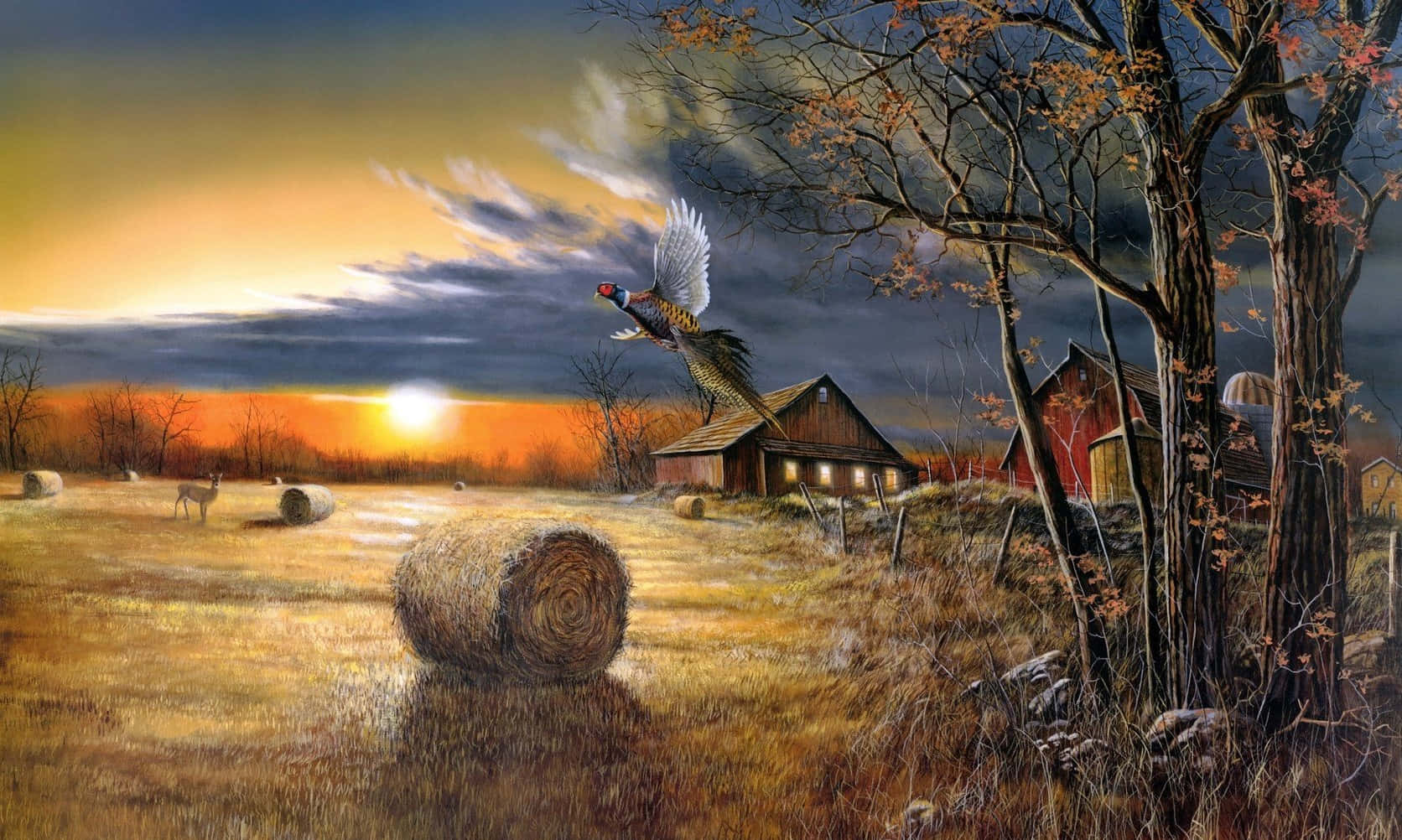 Fall Country, golden autumn field, sunset, HD Desktop Wallpaper