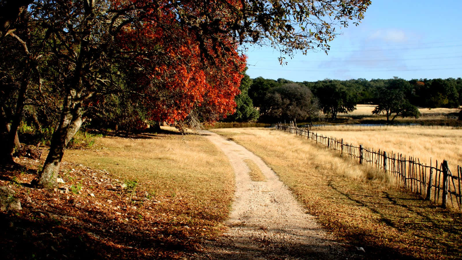 Fall Country, dirt path, autumn field, HD Desktop Wallpaper