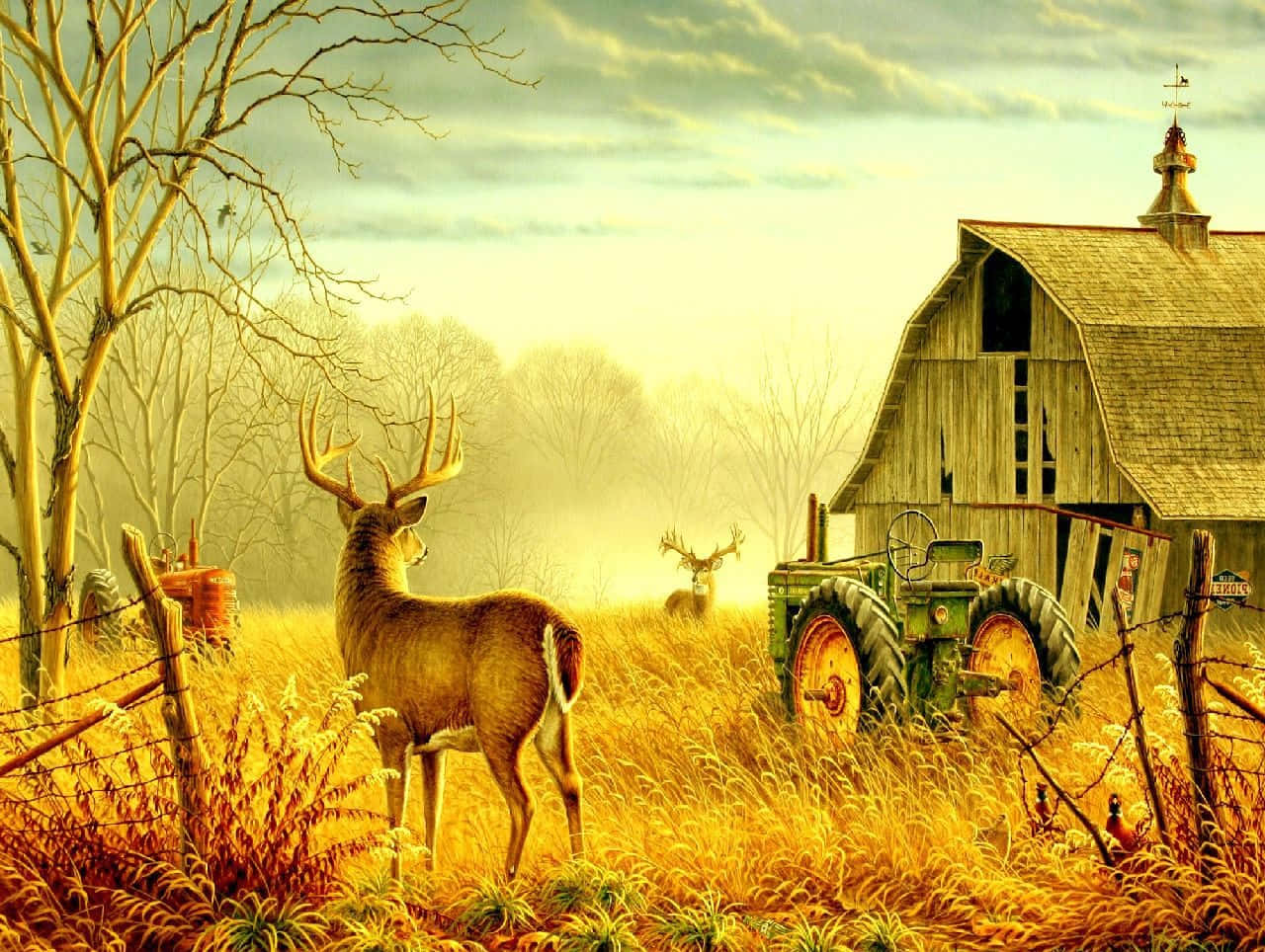 Fall Country, golden grass, weathered barn, HD Desktop Wallpaper