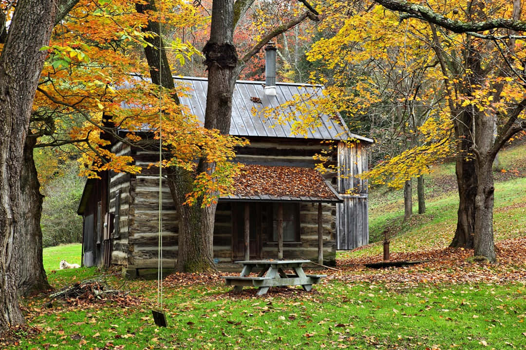 Fall Country, rustic log cabin, vibrant autumn trees, SD Desktop Wallpaper